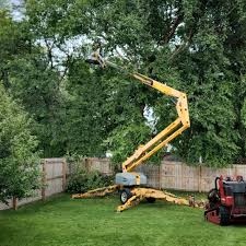 Best Seasonal Cleanup (Spring/Fall)  in Deer Park, NY